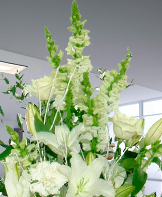 centro funerario basico blanco a detalle